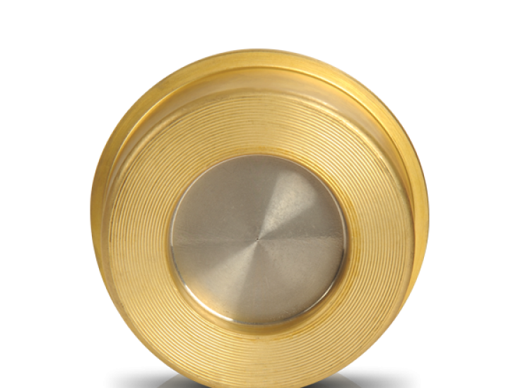 Van Một Chiều CV10/P, CV10/P Check Valves