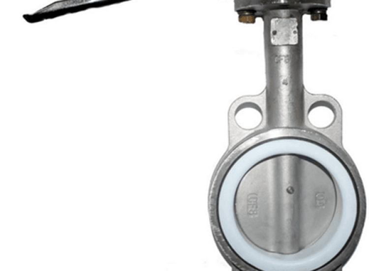 VAN BƯỚM INOX- BUTTERFLY VALVE